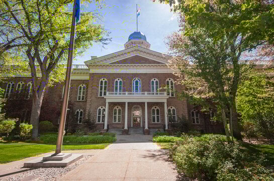 Image for State & Local Government